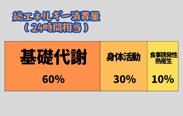 一日の総消費エネルギの略図